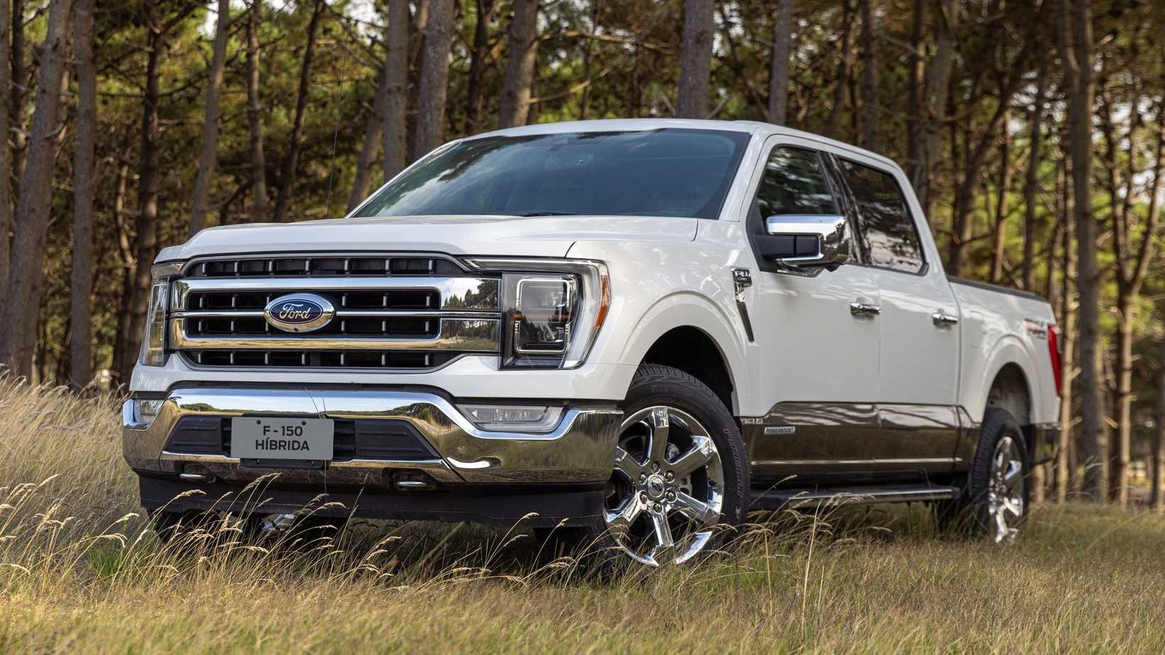 Ford: confira lançamentos, notícias e tendências
